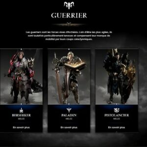 classe Guerriers Lost Ark