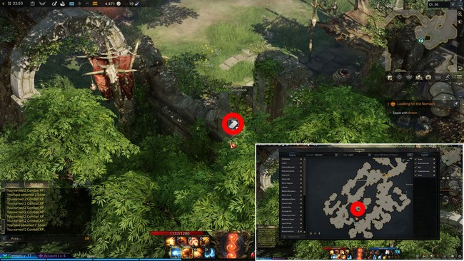 emplacments graines de Mokoko à Boiscolline 5