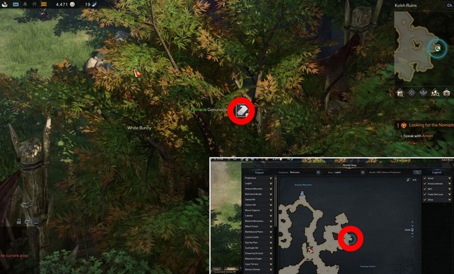 emplacments graines de Mokoko à Boiscolline 7