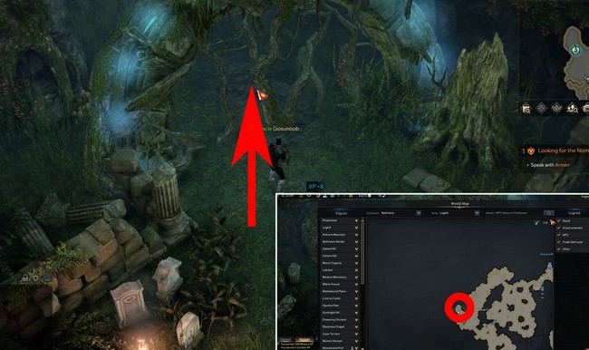 emplacments graines de Mokoko à Boiscolline 8