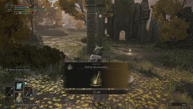 fiole de salut miraculeux