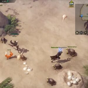 l'île aux Tortues sur Lost Ark