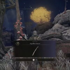 Aiguillon Funeste Elden Ring