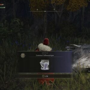 vous obtenez les Cendres de Latenna l’Albinaurique