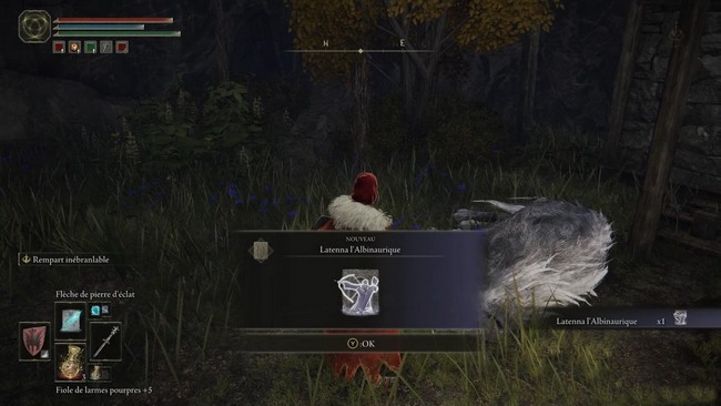 vous obtenez les Cendres de Latenna l’Albinaurique