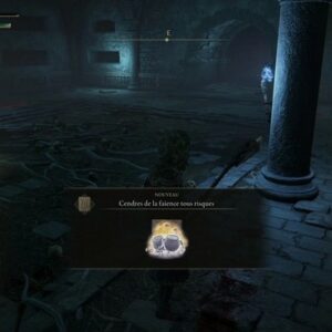 Cendres de la faïence tous risques