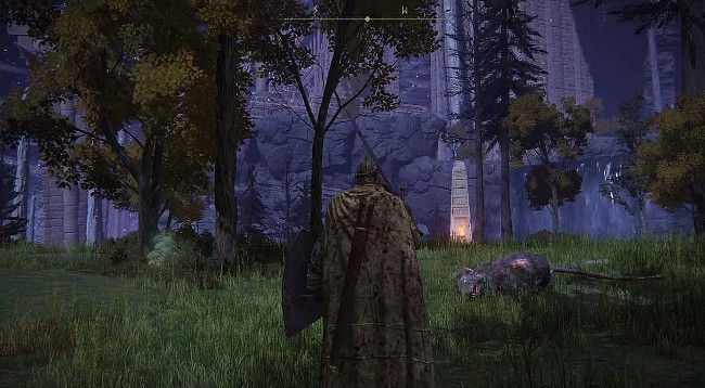 Emplacement Brasier 8 de la Siofra elden ring