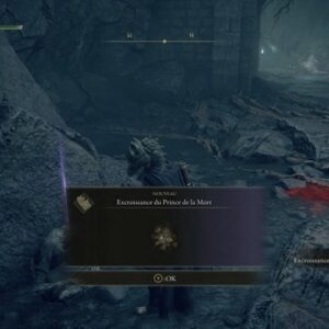 Emplacement Excroissance du Prince de la Mort elden ring-1