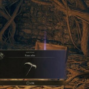 Emplacement Faux Ailée Elden Ring-1