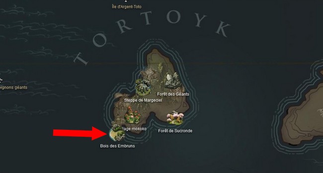 Emplacement de la carte des bois des Embruns de Tortoyk dans Lost Ark