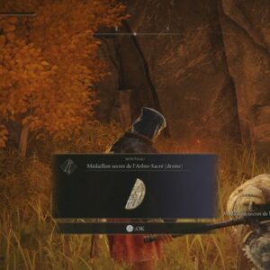 la première moitié du Médaillon secret de l'arbre sacré (droite)