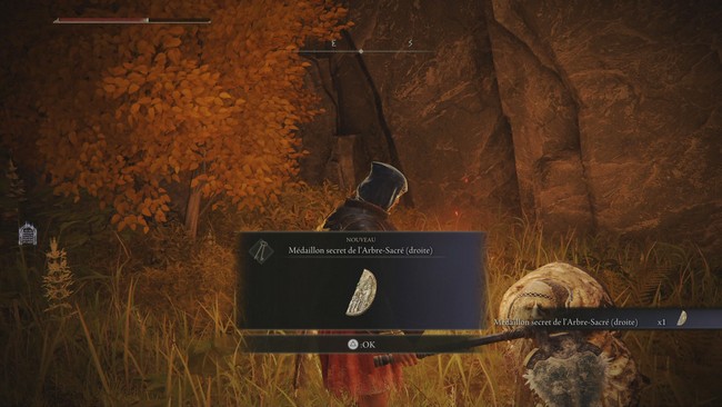 la première moitié du Médaillon secret de l'arbre sacré (droite)