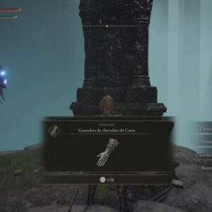 l’ensemble d’armure du chevalier de Caria