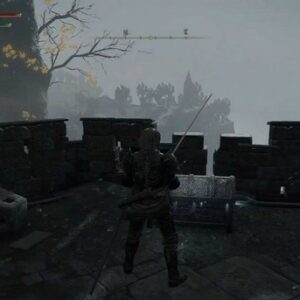 Emplacement du médaillon de Dectus (droite)