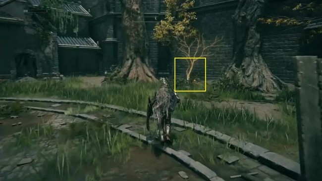 Graine Dorée 2 elden ring