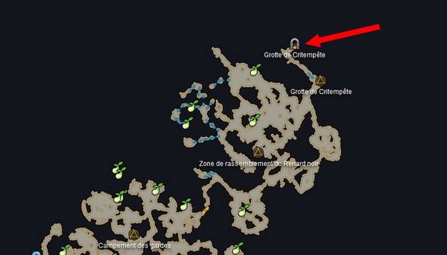 Grotte de Critempête dans lost ark