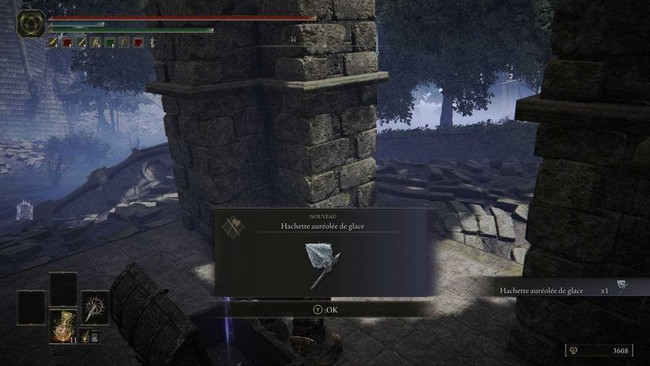 Hachette auréolée de glace