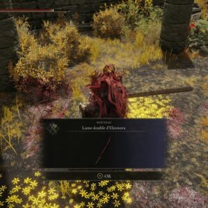 Lame double d'Eleonora elden ring