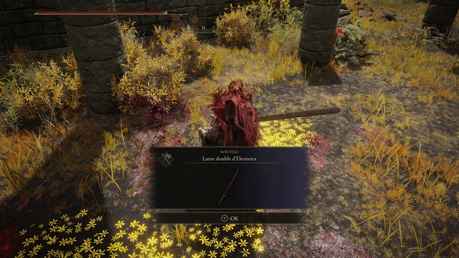 Lame double d'Eleonora elden ring