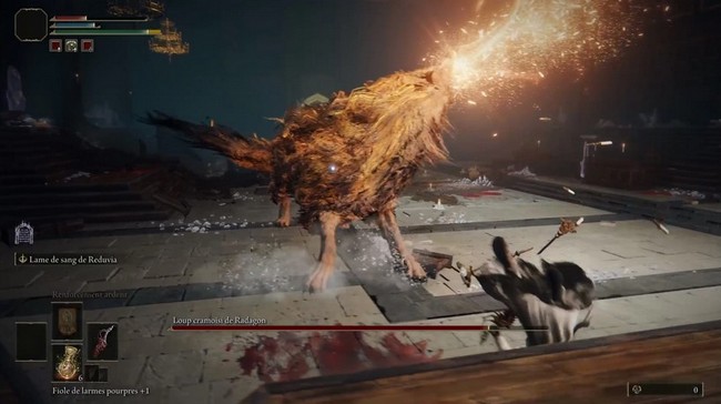 Loup Cramoisi de Radagon