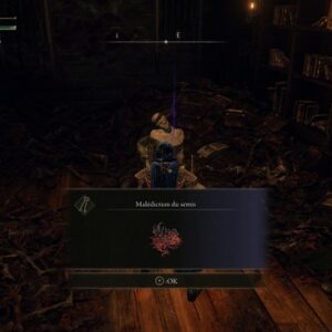 Malédiction du semis 2 (Leyndell)