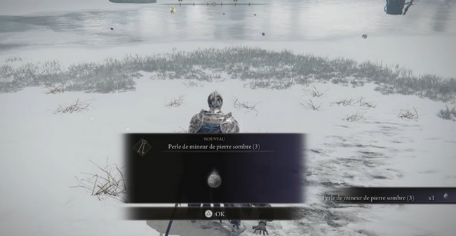 Perle de Mineur de pierre sombre 3 elden ring