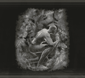 Cendres de Guerre : Rapace des Brumes