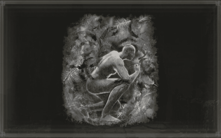 Cendres de Guerre : Rapace des Brumes