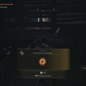 Sceau meurtri de Radagon de elden ring