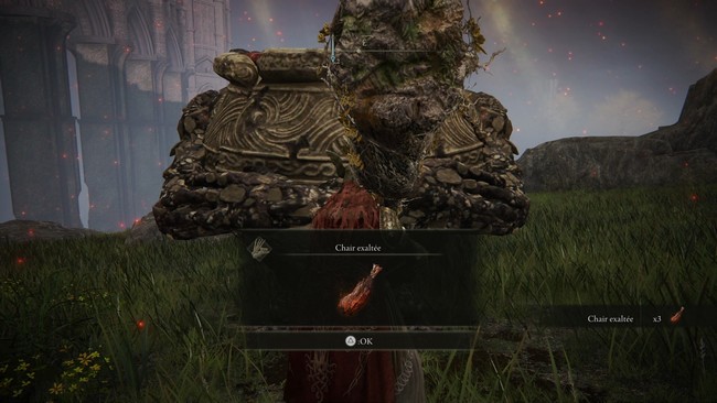 chair exaltée elden ring