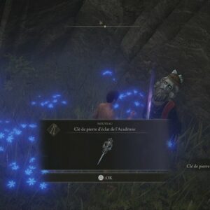 La clé de pierre d’éclat de l’Académie