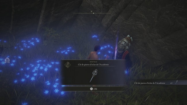 La clé de pierre d’éclat de l’Académie