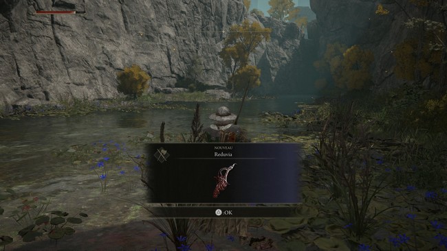 Dague Reduvia Elden Ring