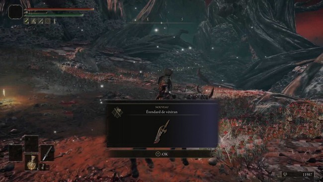 étendard de vétéran