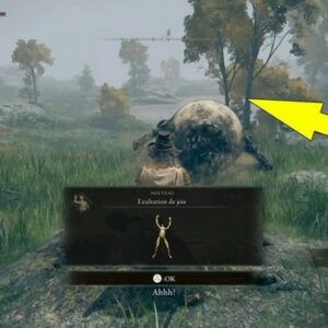 emote Exultation de joie Elden Ring