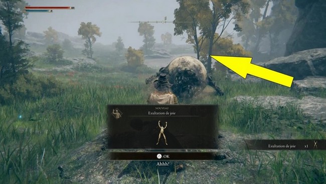 emote Exultation de joie Elden Ring