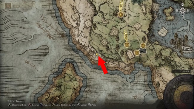 Emplacement Marchand de Nécrolimbe Orientale