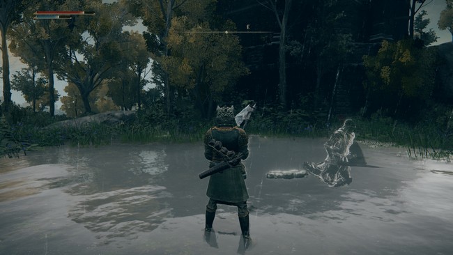 Emplacement de la tortue n°3