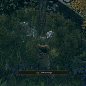 Emplacment de la tortue n°2