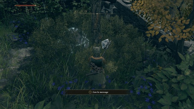 Emplacement de la tortue n°2