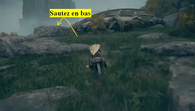 graine dorée 4 elden ring