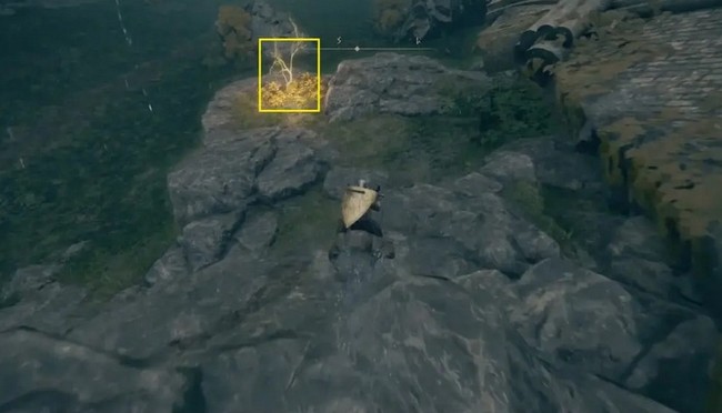 graine dorée 4 elden ring