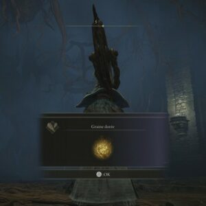 graine dorée Tombe des Héros des Confins