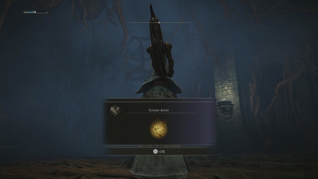 graine dorée Tombe des Héros des Confins