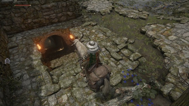 lame double Elden Ring