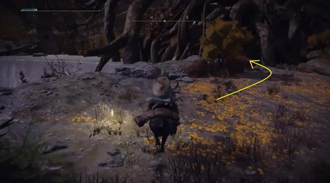 les Profondeurs de Fonderacine dans Elden Ring