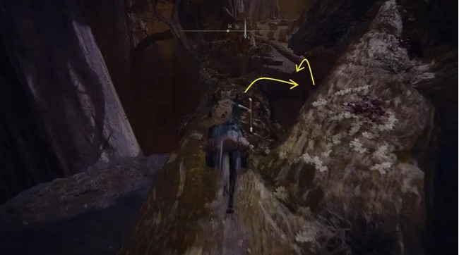 les Profondeurs de Fonderacine dans Elden Ring