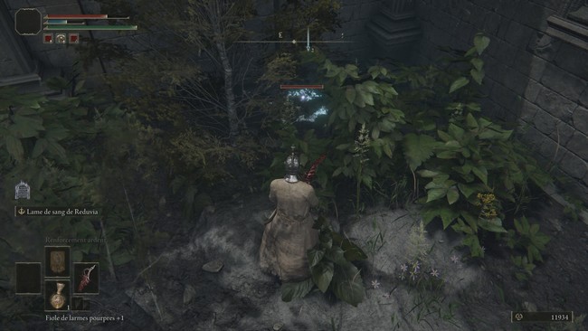 obtenir le Masque de pierre de Karolos dans Elde Ring