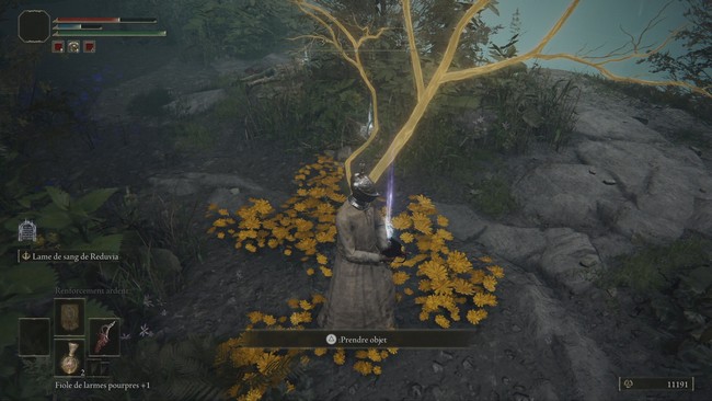 obtenir le Masque de pierre de Karolos dans Elde Ring