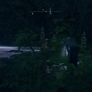 téléporteur de Sanctuaire Bestial Elden Ring